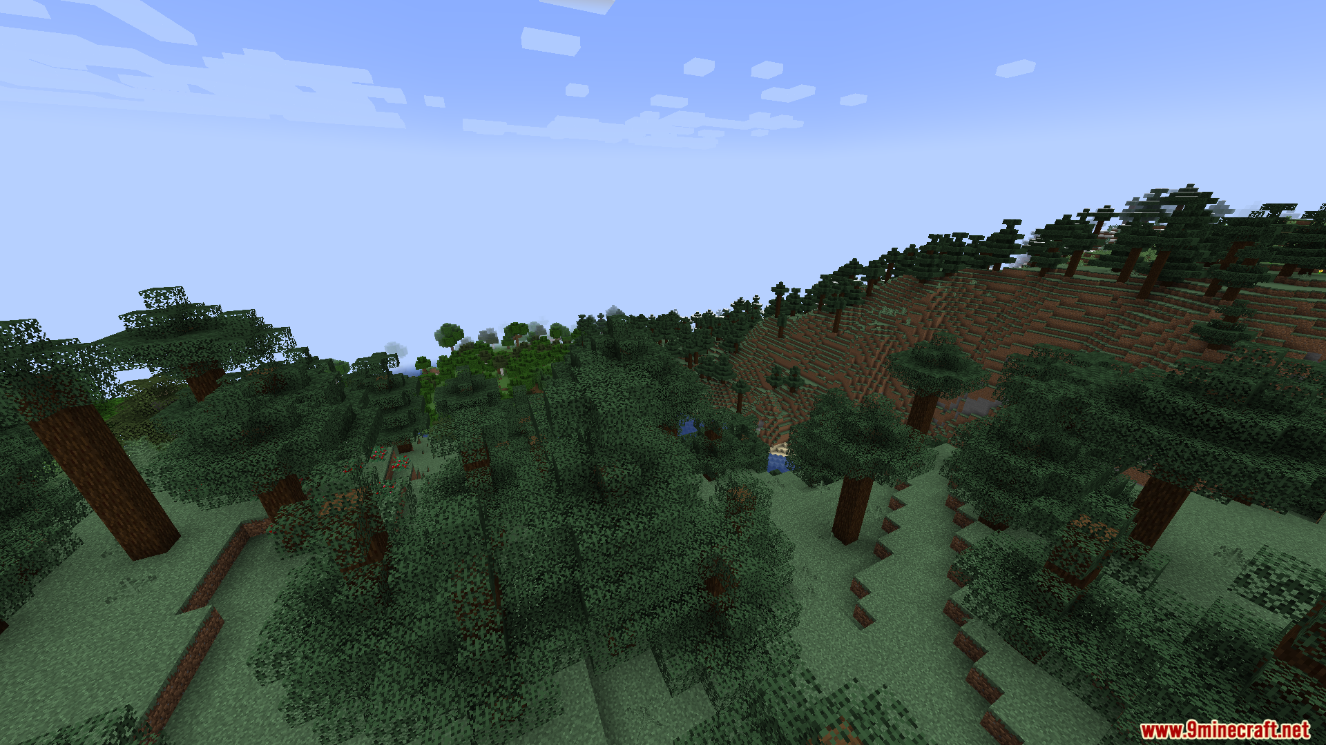 A vast forest landscape with rolling hills and trees