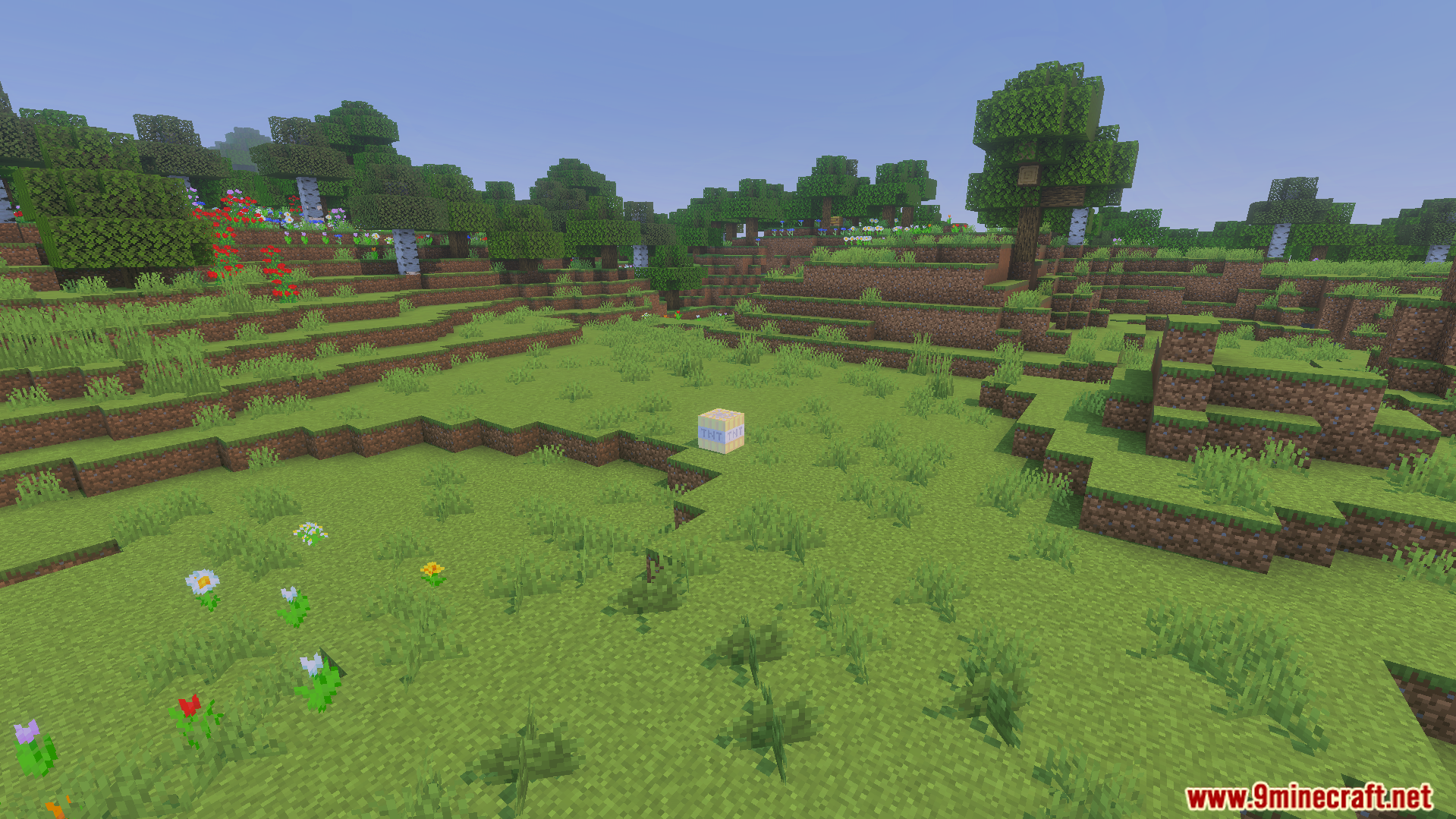 Not Enough TNT Addon Screenshot 10 Single explosive block placed in grassy field