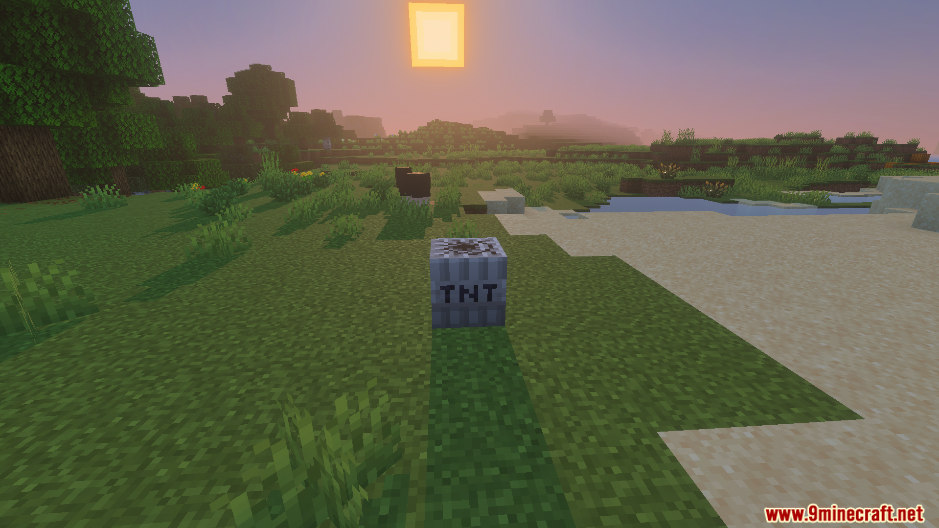 Not Enough TNT Addon Screenshot 3 A fake explosive block placed on the grass to prank your friends