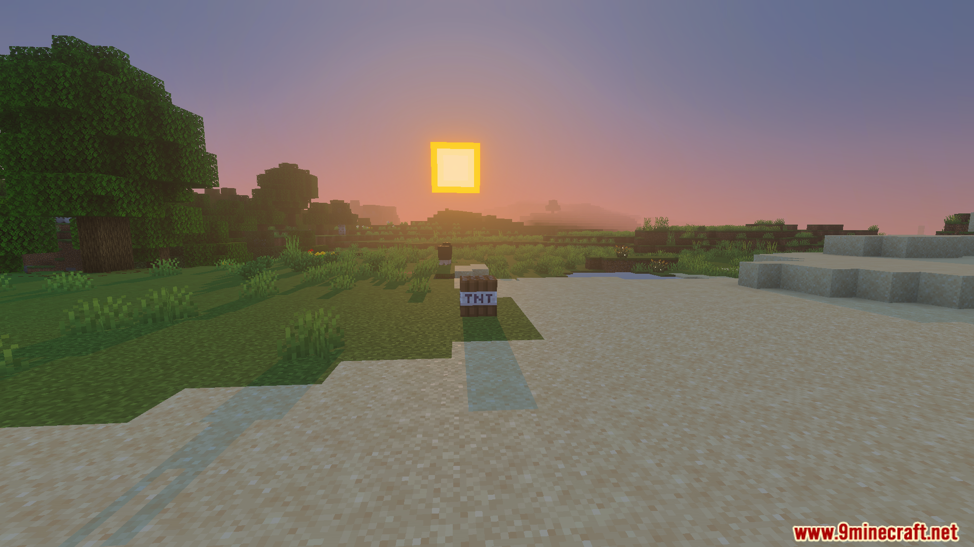 Not Enough TNT Addon Screenshot 6 A single fake explosive block placed on the grass near sand