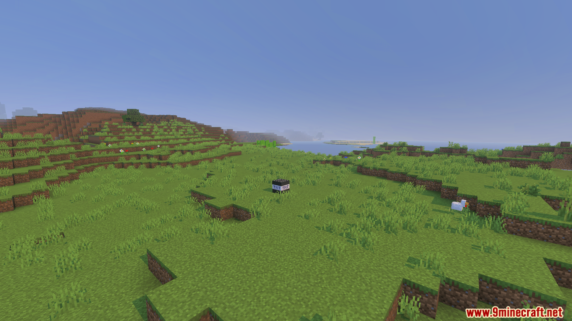Not Enough TNT Addon Screenshot 8 A fake explosive block placed in a large grassy field during the day