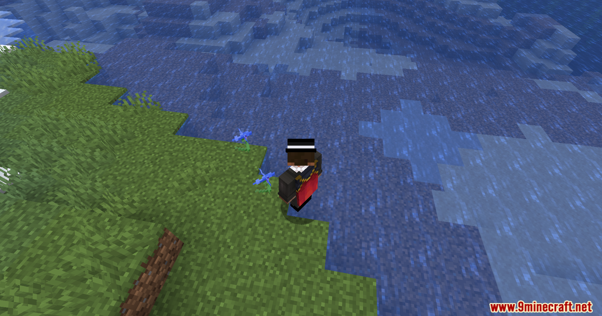 Not Enough Vulkan Mod Screenshot 7 Player standing on grass block next to water in Minecraft