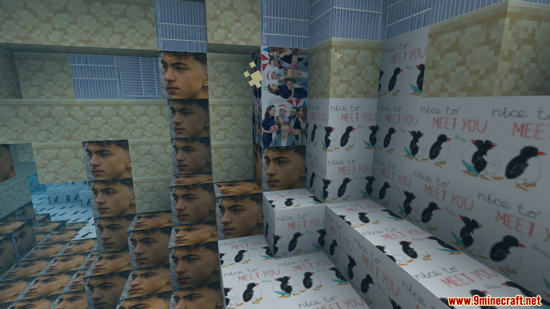 Objet Traduit 100x Natop Texture Pack Screenshot 5 Hilarious new textures with faces and penguins cover the game blocks
