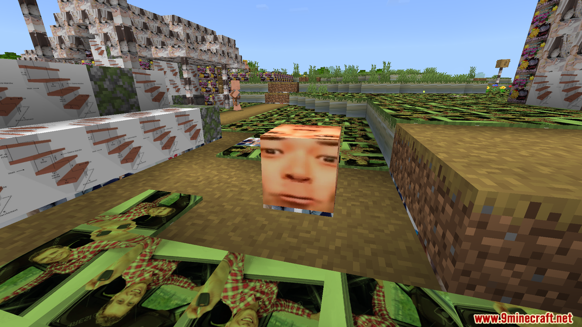 Objet Traduit 100x Natop Texture Pack Screenshot 8 A single block shows a funny new texture in a chaotic world