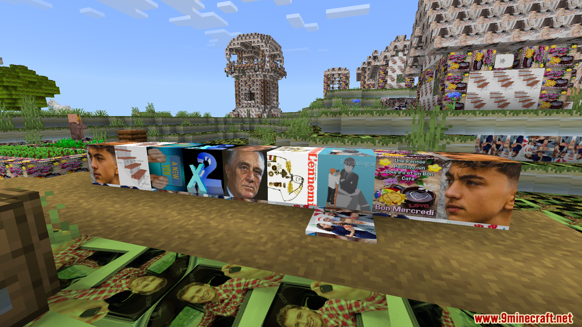 Objet Traduit 100x Natop Texture Pack Screenshot 9 A line of blocks shows off various funny and chaotic textures