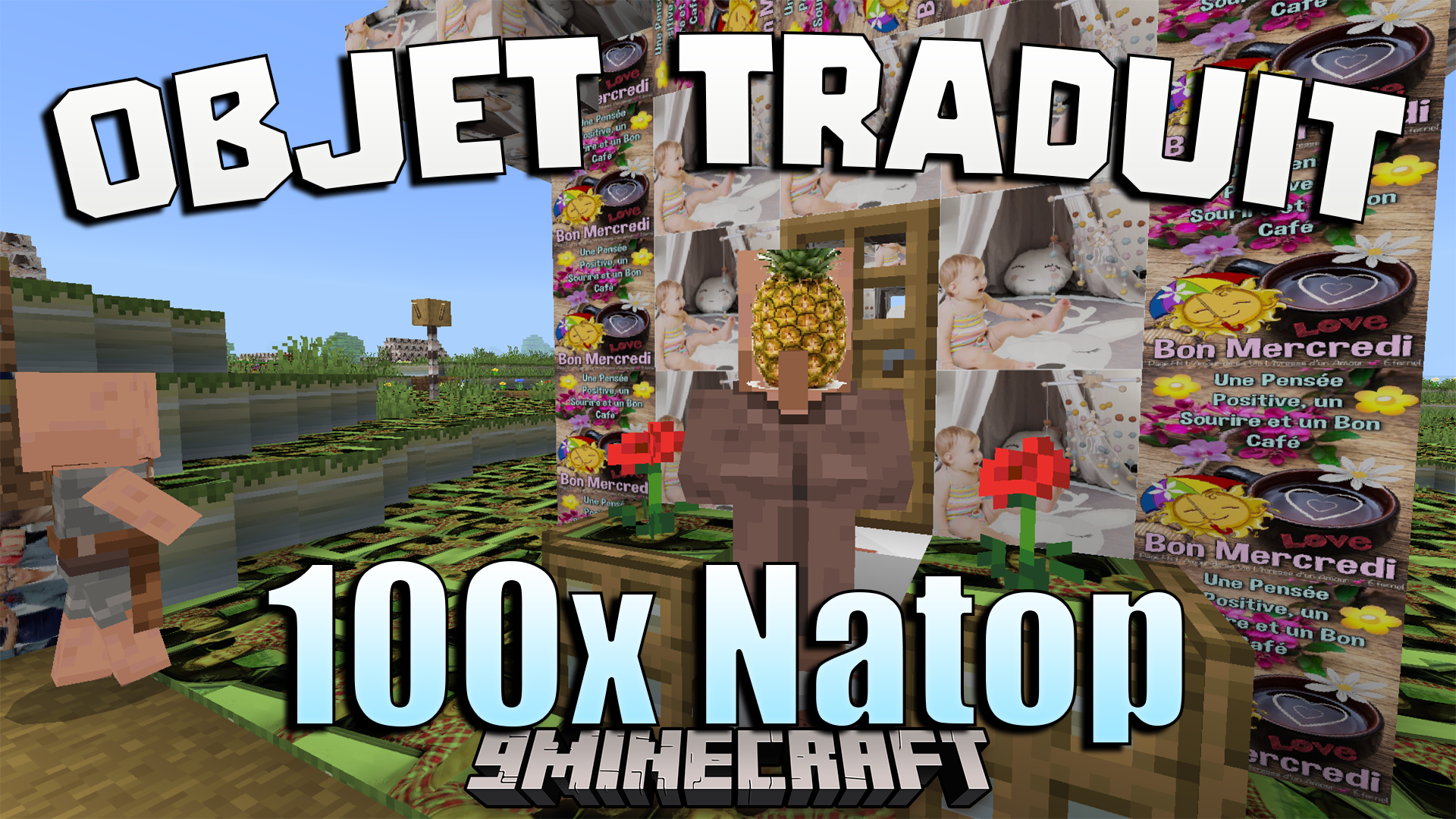 Objet Traduit 100x Natop Texture Pack