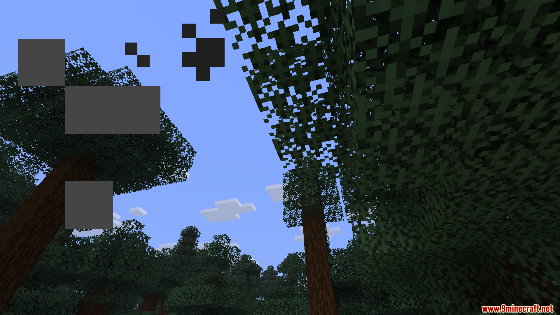 Clear first-person view looking up at the tree canopy