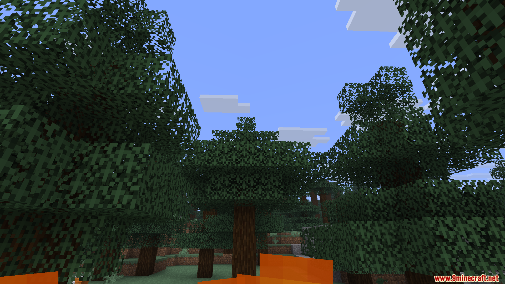 A normal first-person view from inside a Minecraft forest