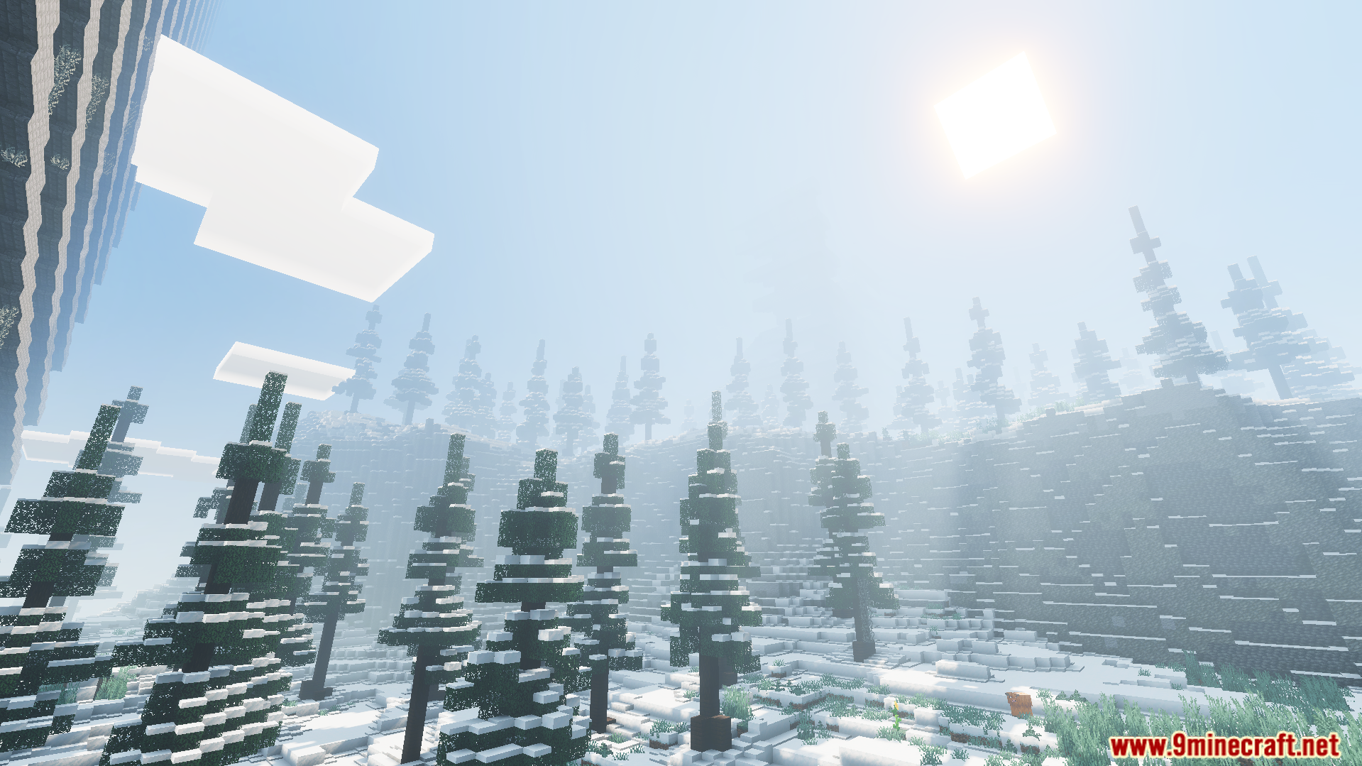 Thick fog and realistic lighting in a snowy forest biome