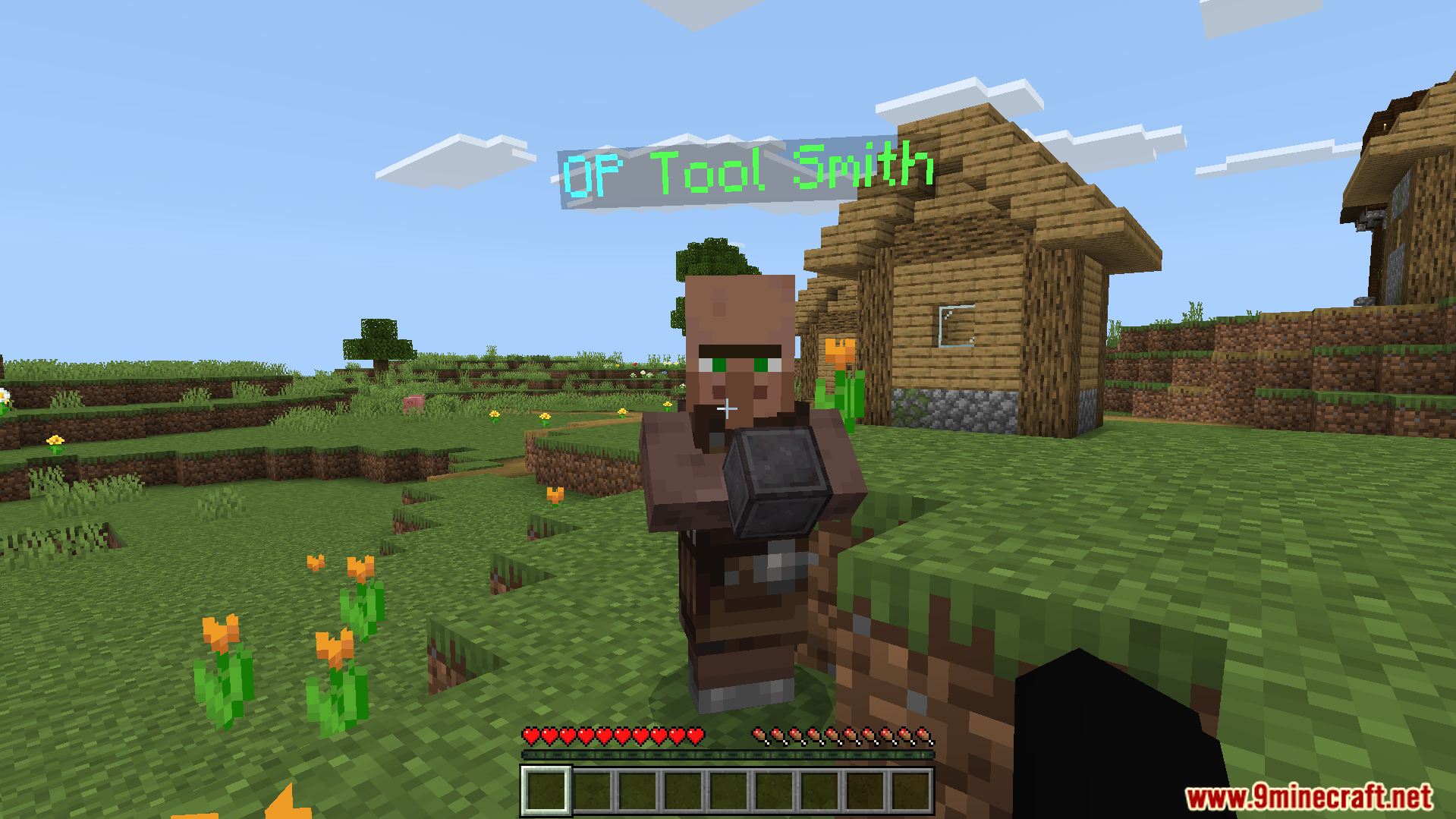 A special tool smith villager stands in a survival village