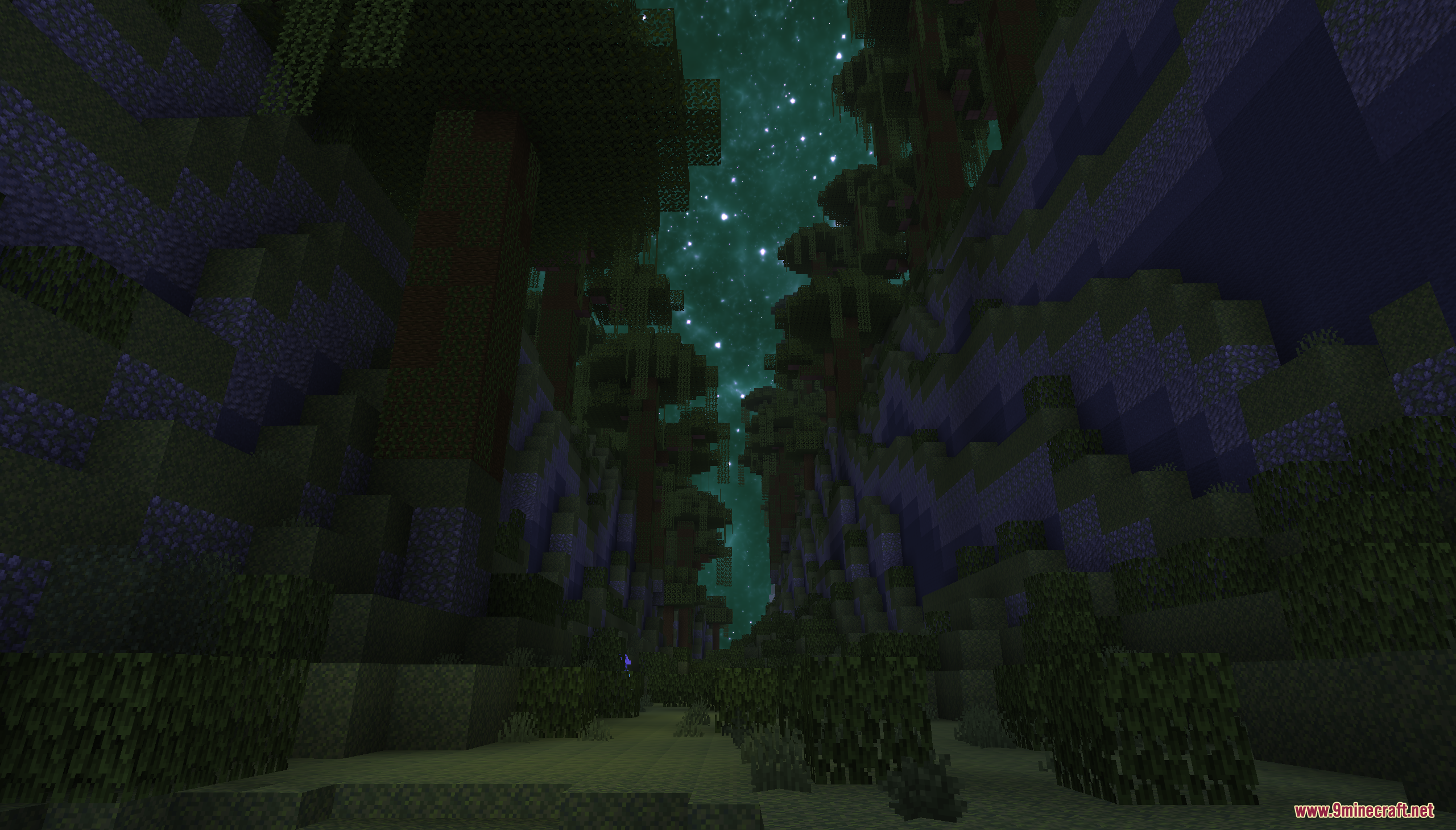 Tall dark trees against a starry green sky