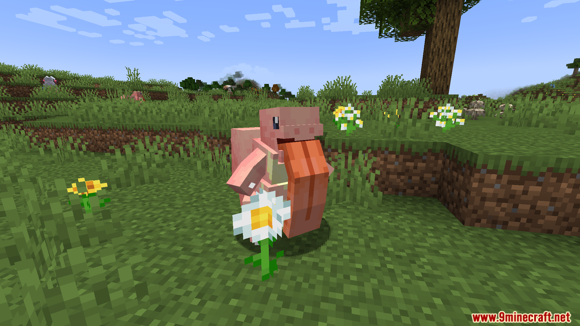 A Minecraft Piglin holding a white daisy flower