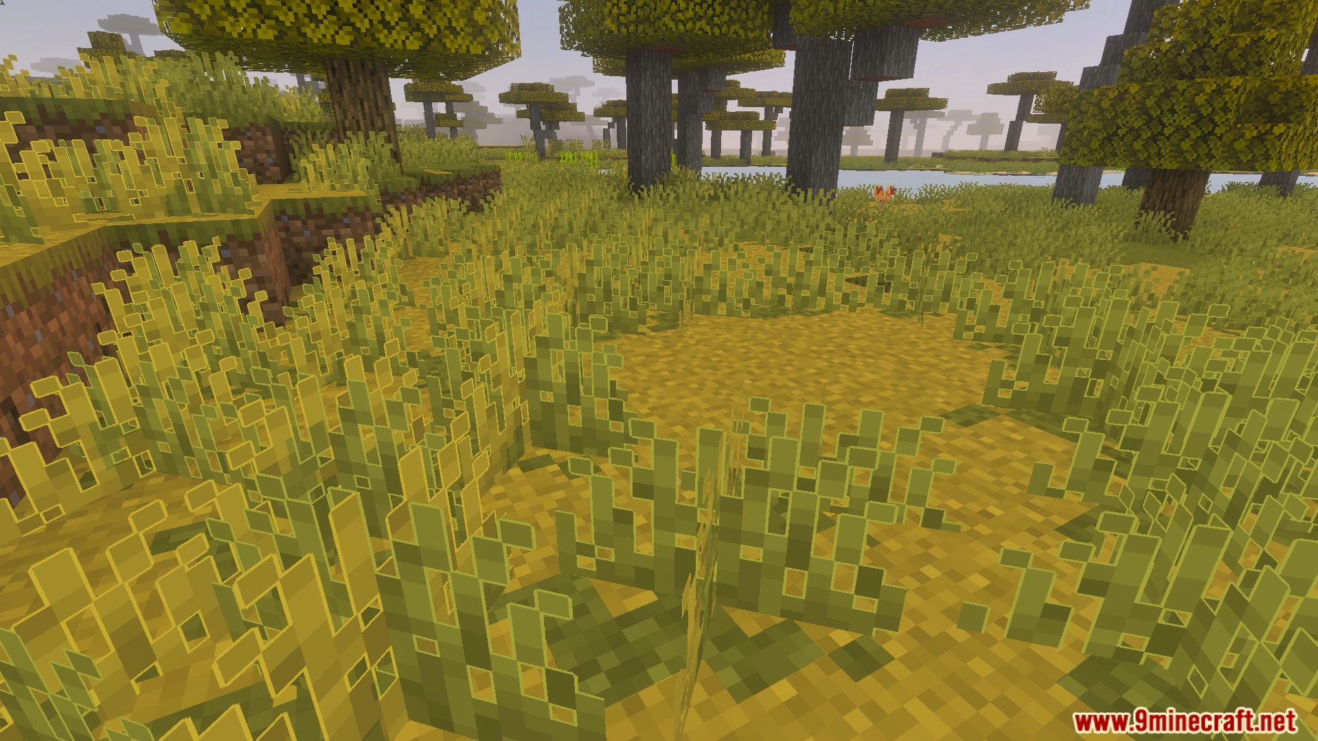 Outlined Grass Texture Pack Screenshot 2 A patch of outlined tall grass in a savanna