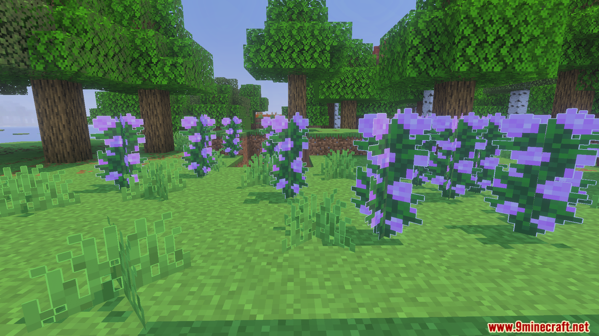 Outlined Grass Texture Pack Screenshot 3 Purple lilac bushes with white outlines in a forest clearing