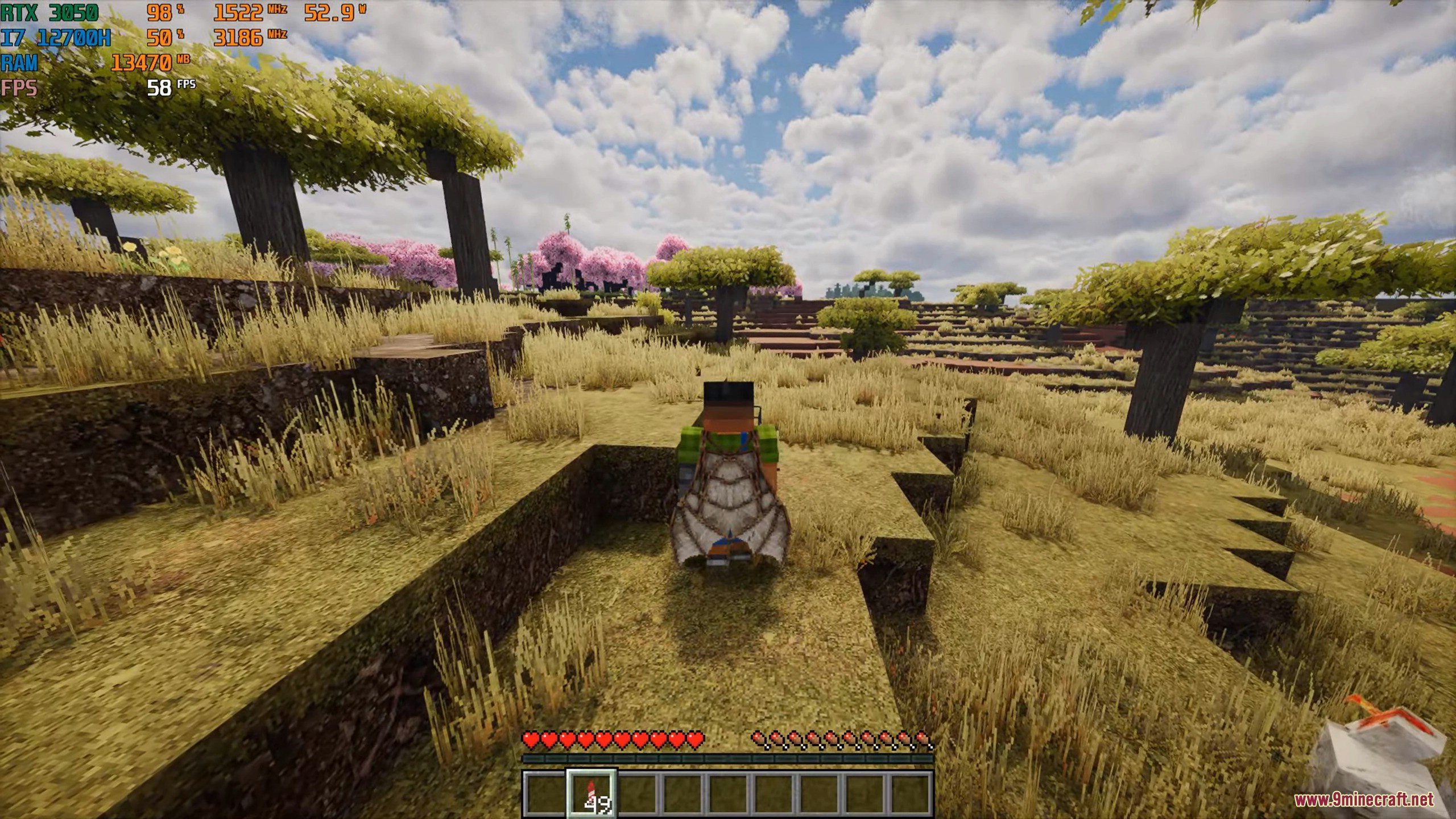 Player wearing an elytra stands in a realistic savanna with cherry blossoms