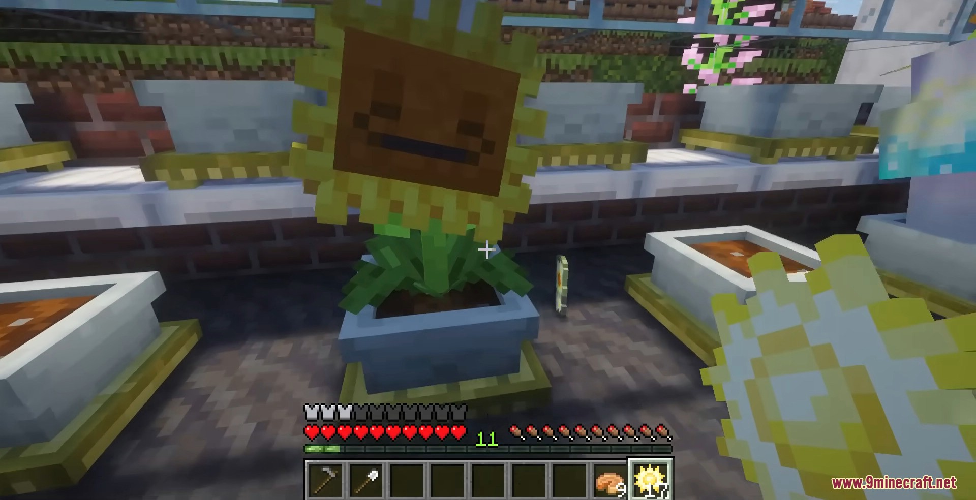 Plants & Zombies Mod Screenshot 6 Player collecting sun from a smiling sunflower planted in a blue pot