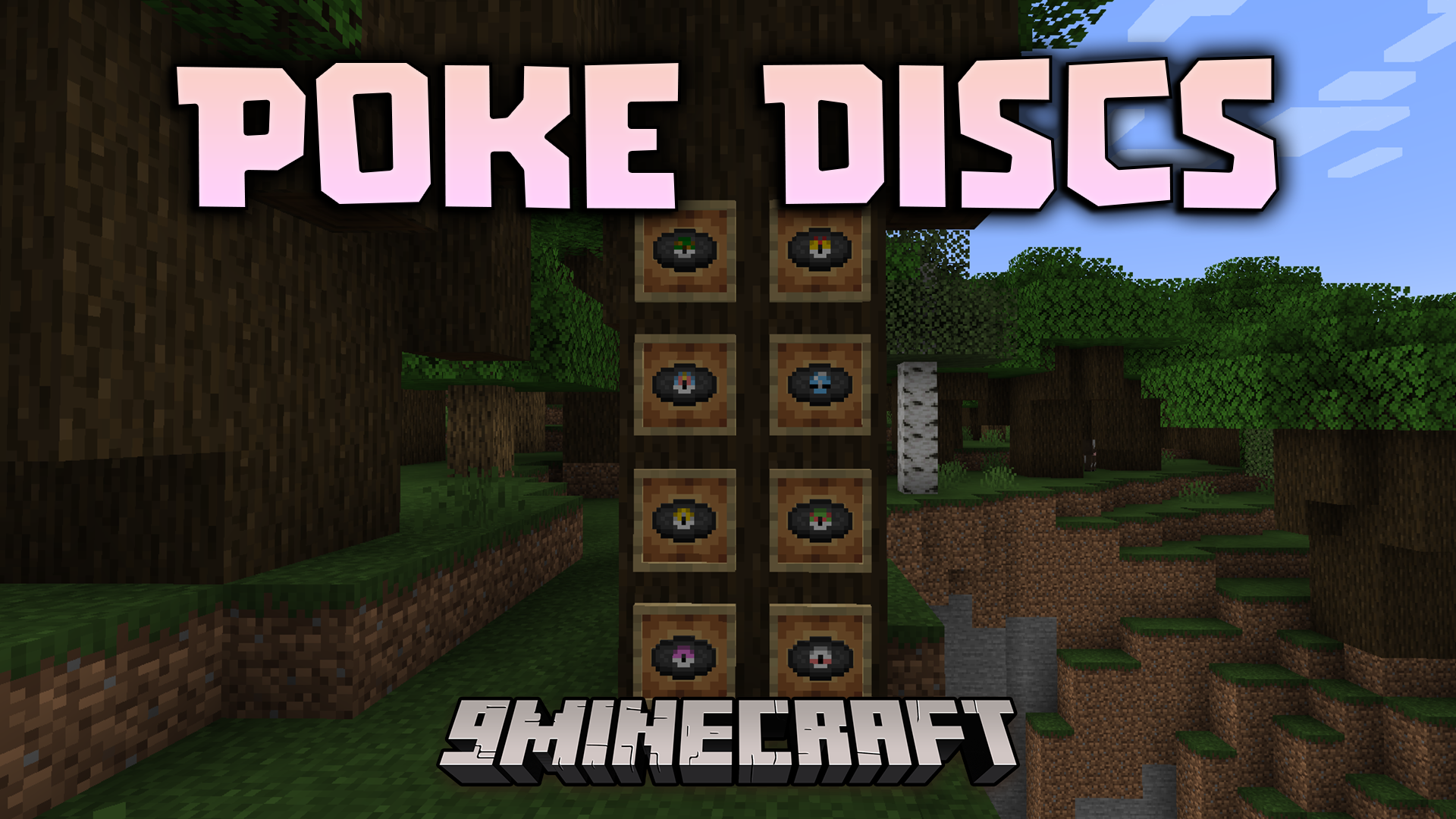 Poke Discs Resource Pack