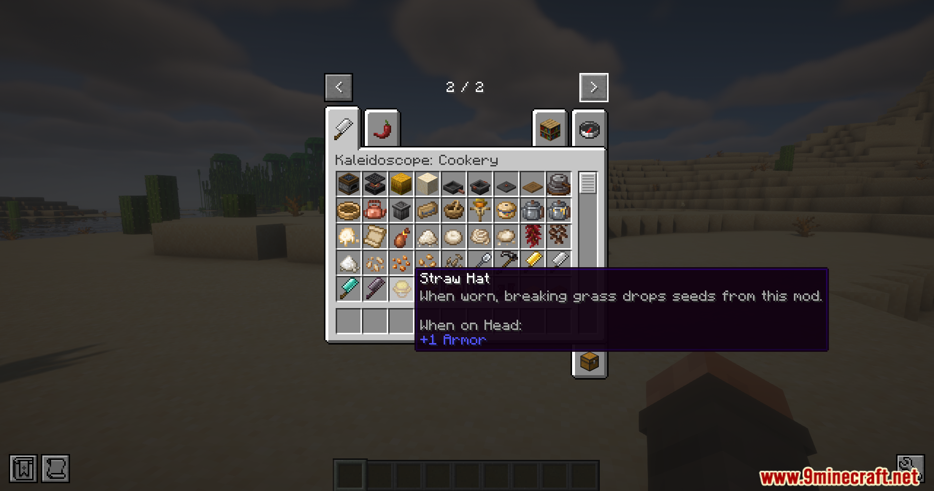 Viewing the Straw Hat item details in the creative inventory