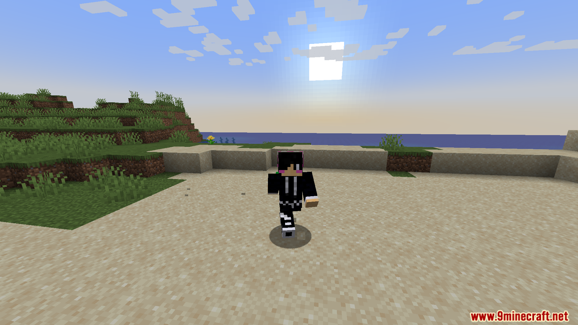 Player character standing on a sandy beach by the ocean