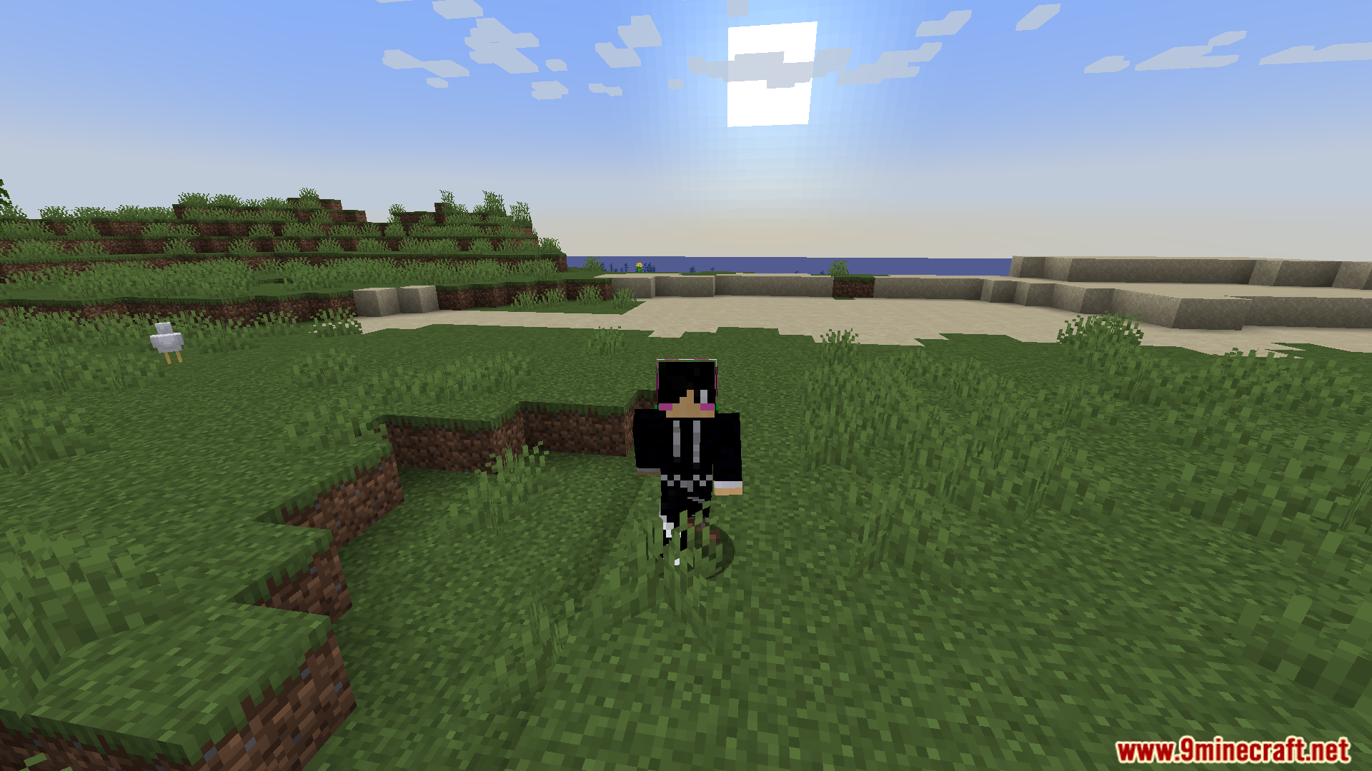Player character standing on a grassy hill near a sheep