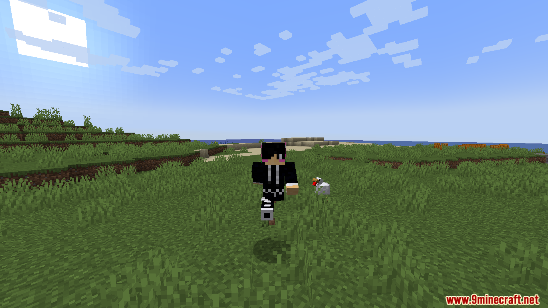 Player character standing on a grassy beach next to a chicken