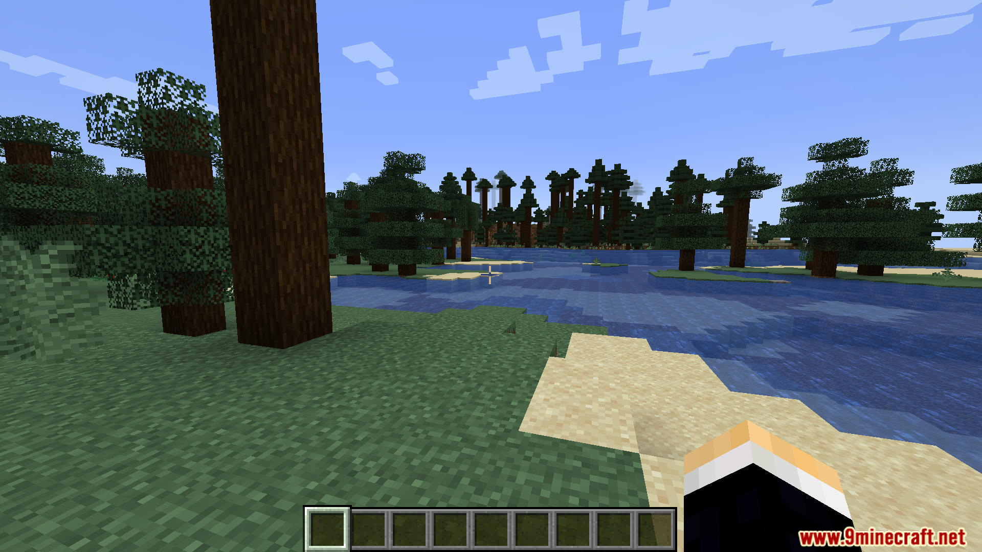A scenic view of a river and forest biome