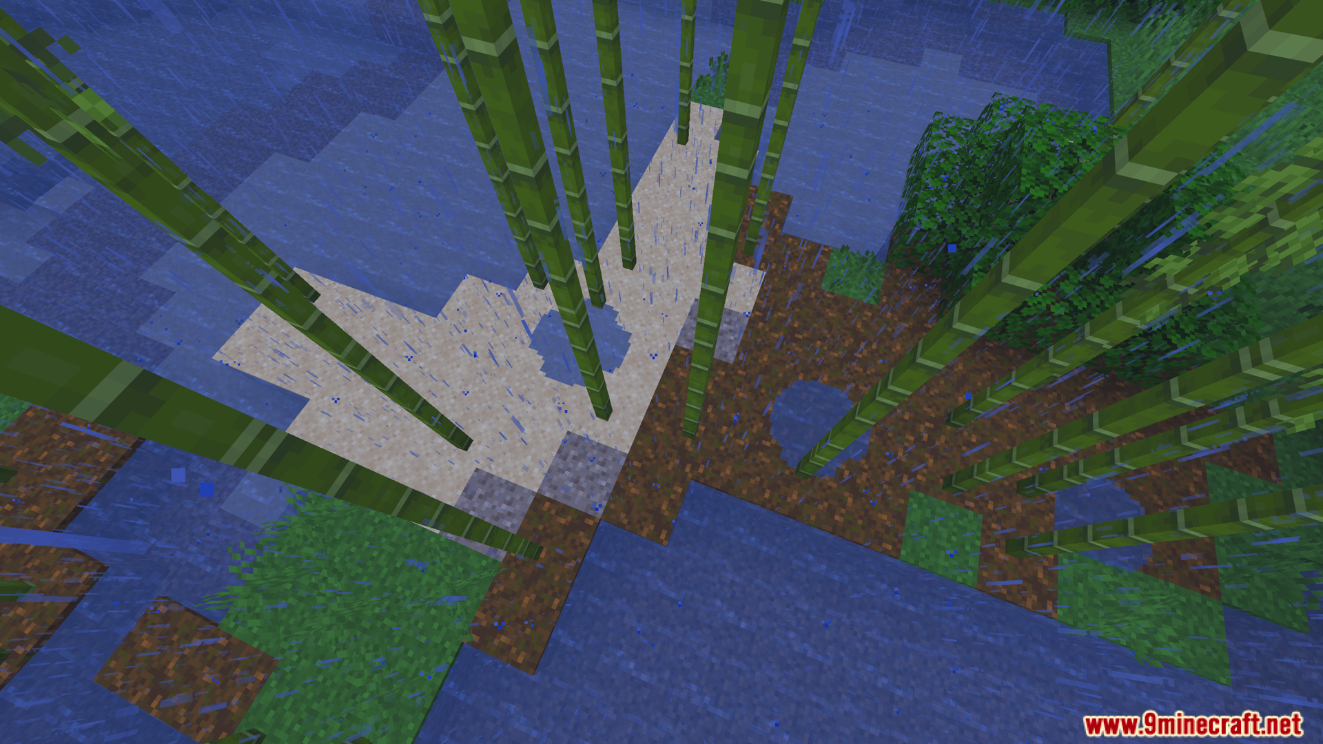 Rain puddles forming in a bamboo jungle biome