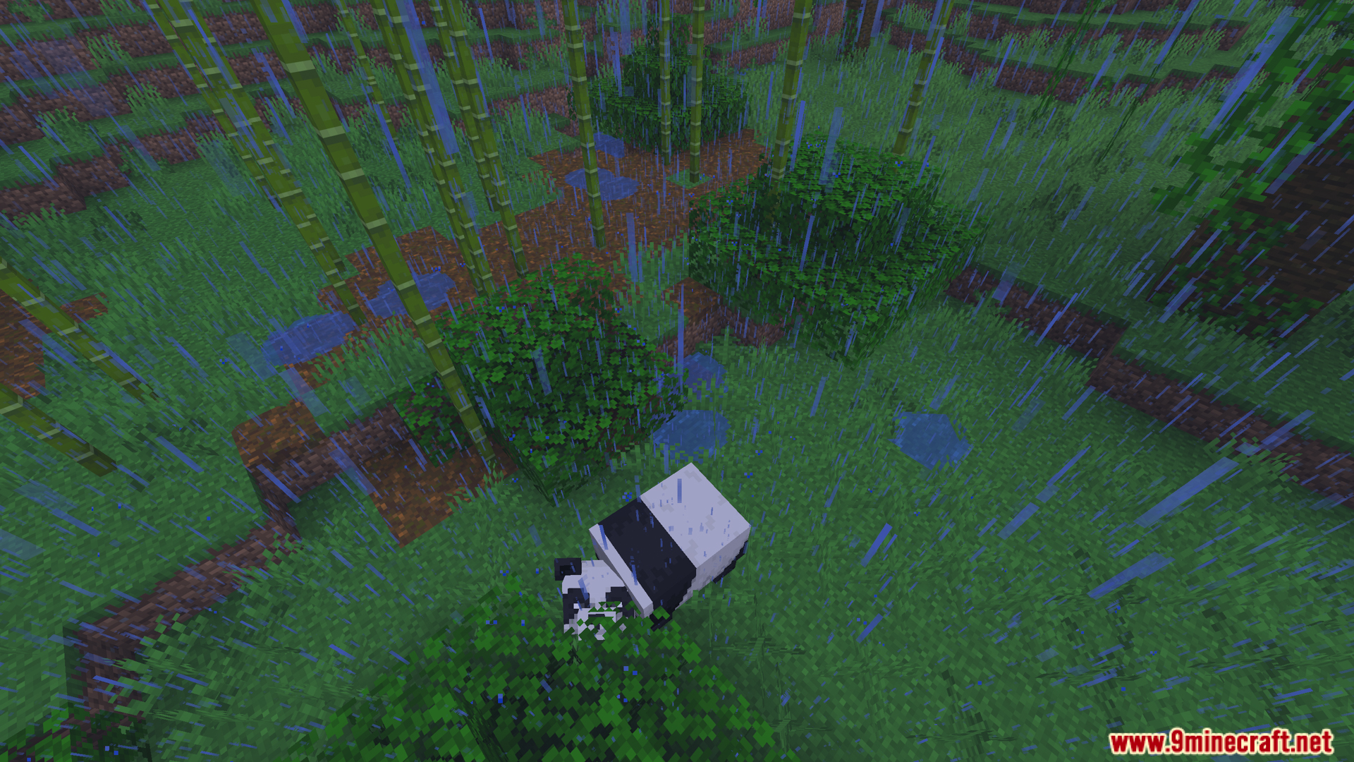 A panda resting in a rainy bamboo jungle