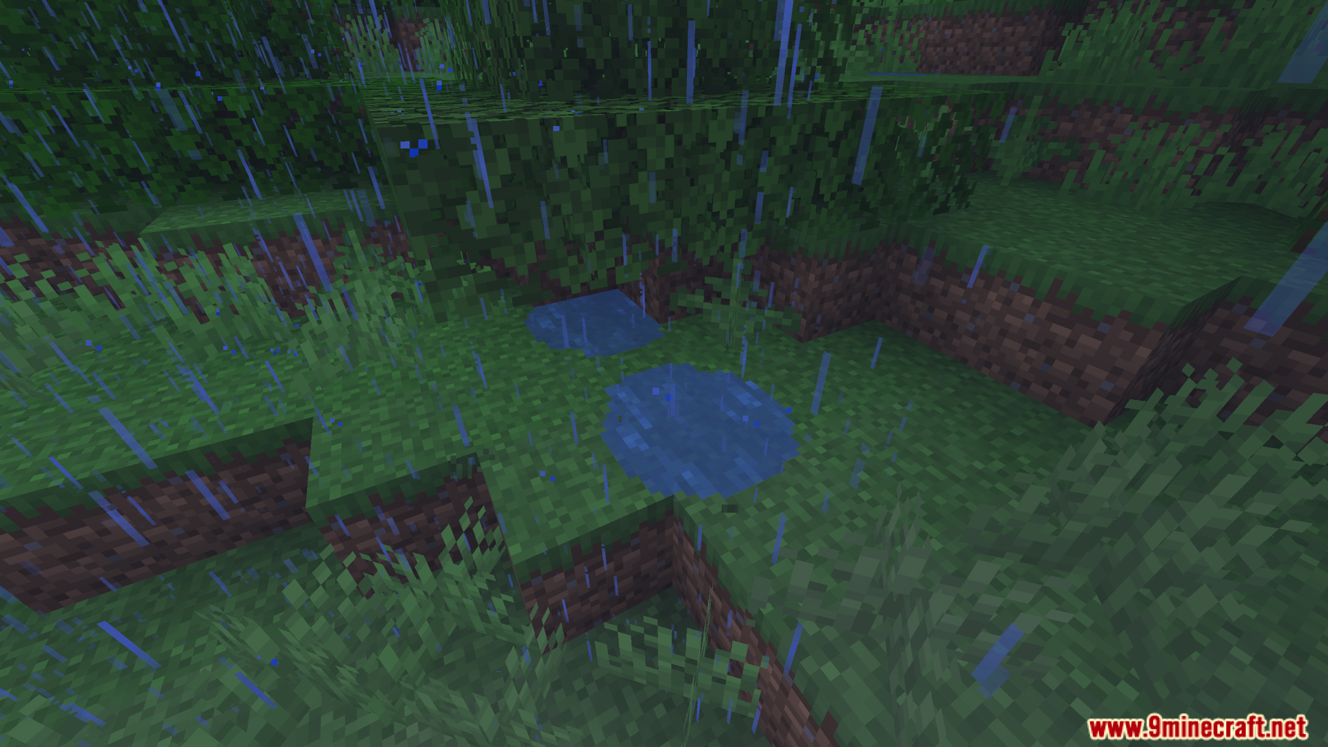 Small puddles of water forming on the grass during rain
