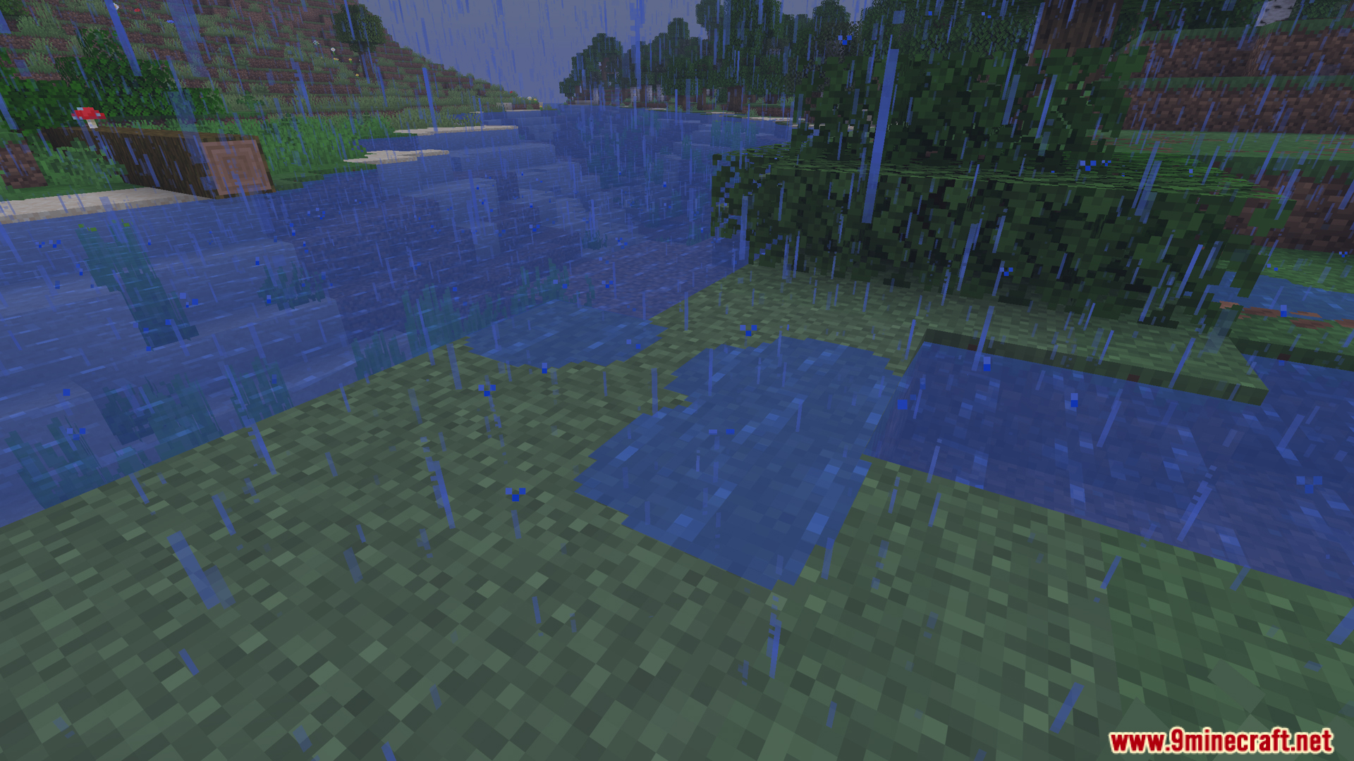 Rainwater collecting and flooding the grassy riverbank