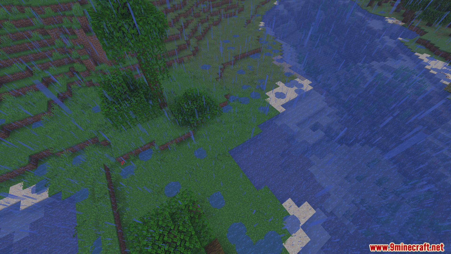 Small pools of water gathering on the grass in a storm