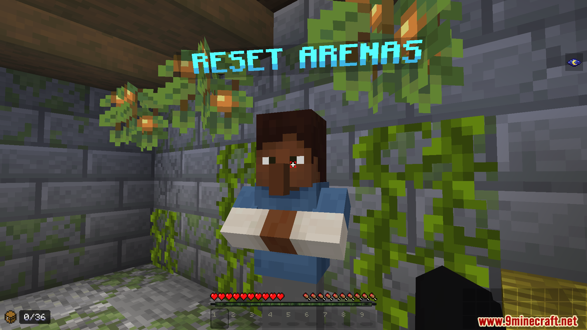 PvP Practice Arena Map Screenshot 4