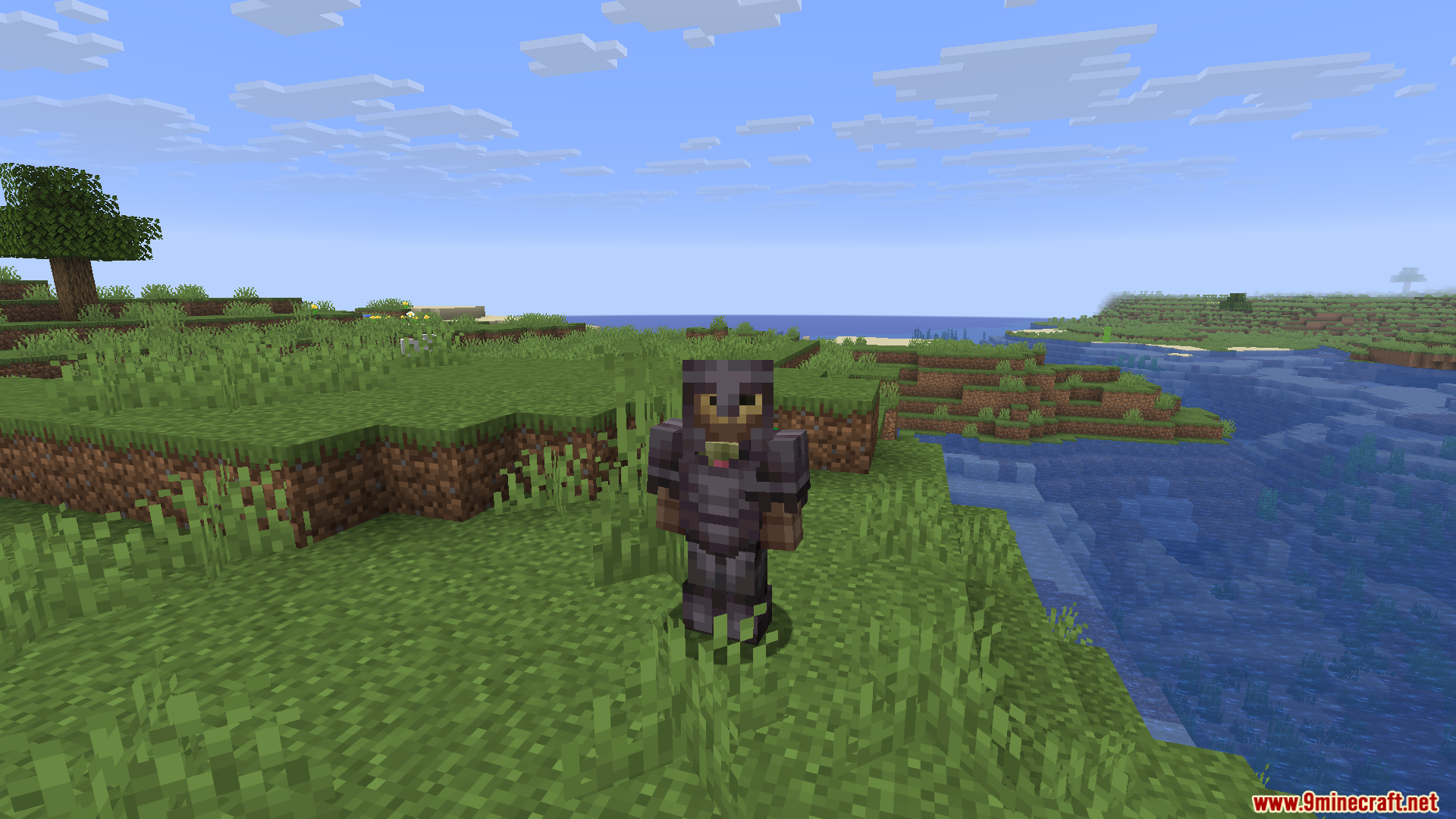 A player standing in a grassy field wearing netherite armor