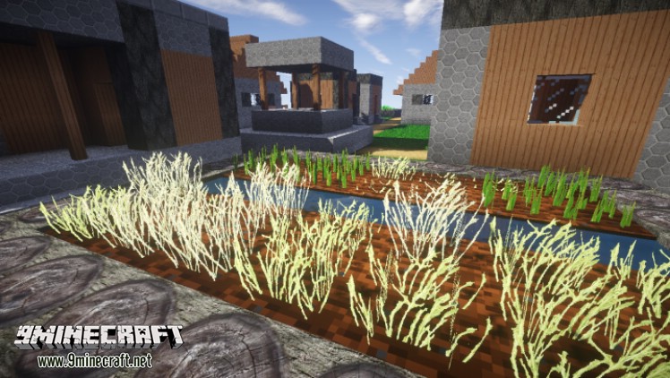Realistic Bagel Resource Pack 1