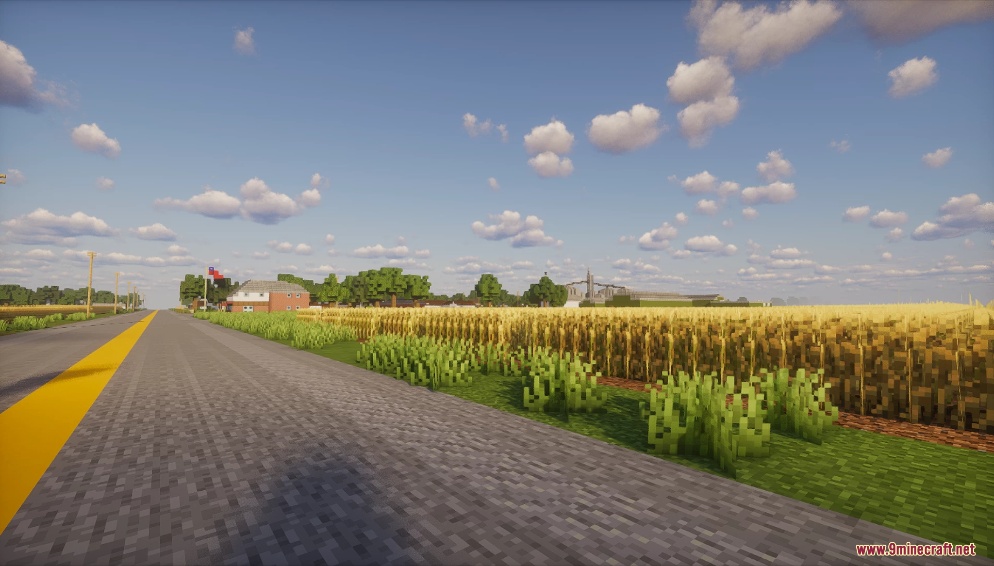A country road running alongside a golden wheat field