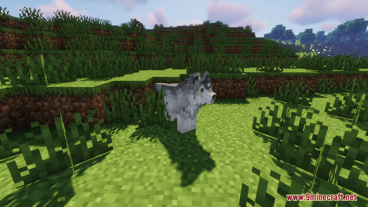 A single realistic wolf stands on a grassy hill