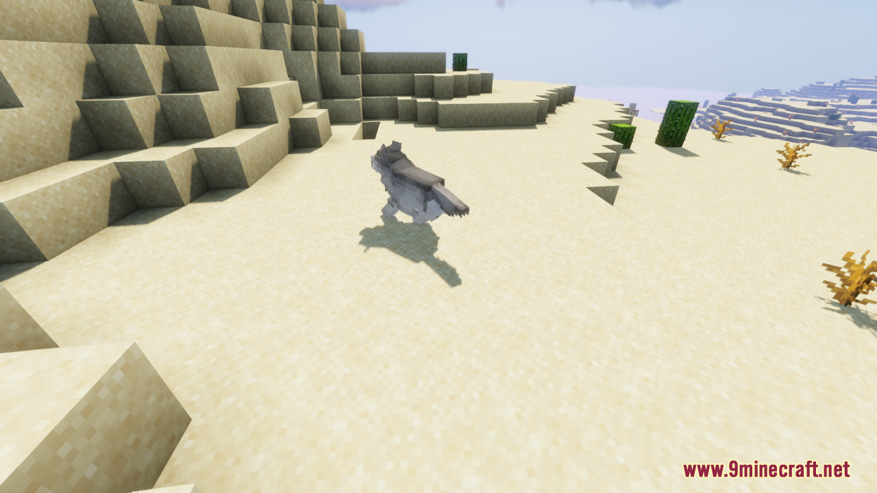 A detailed gray dog running along a sandy beach