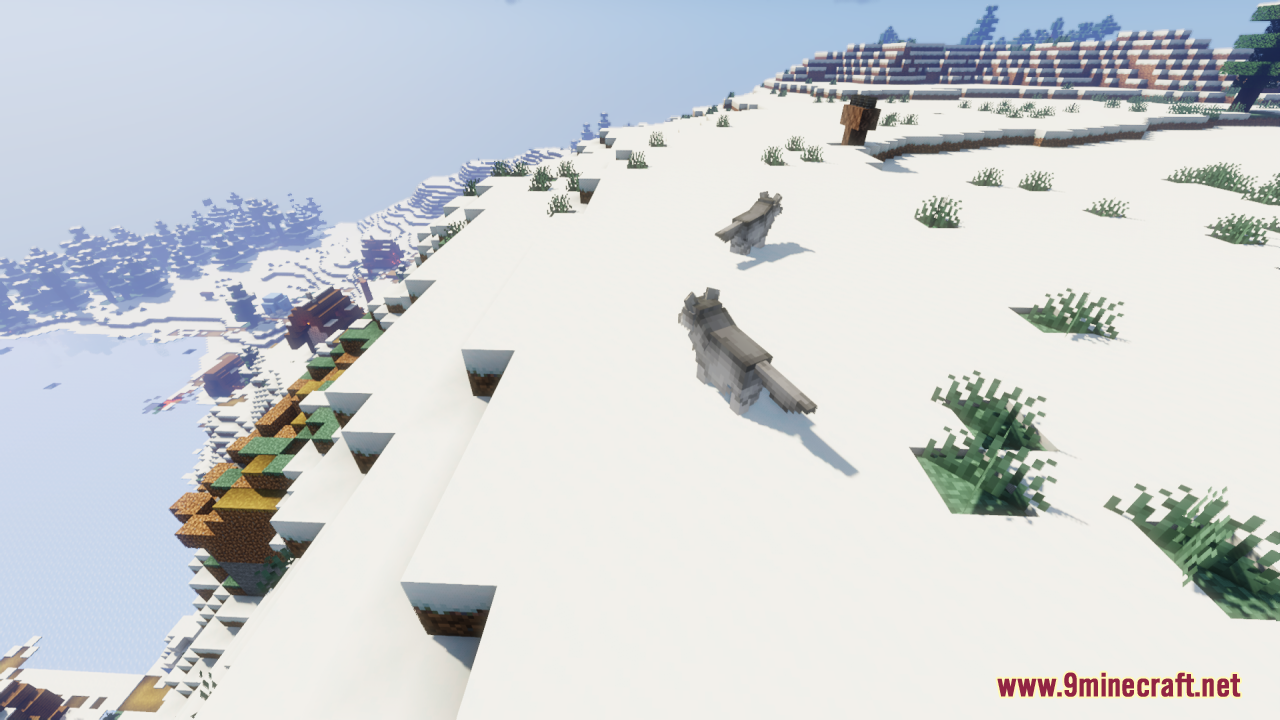Two dogs running down a snowy mountain slope