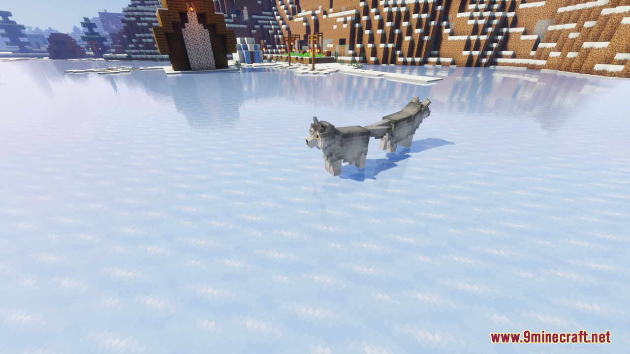 Two husky dogs standing on a frozen lake