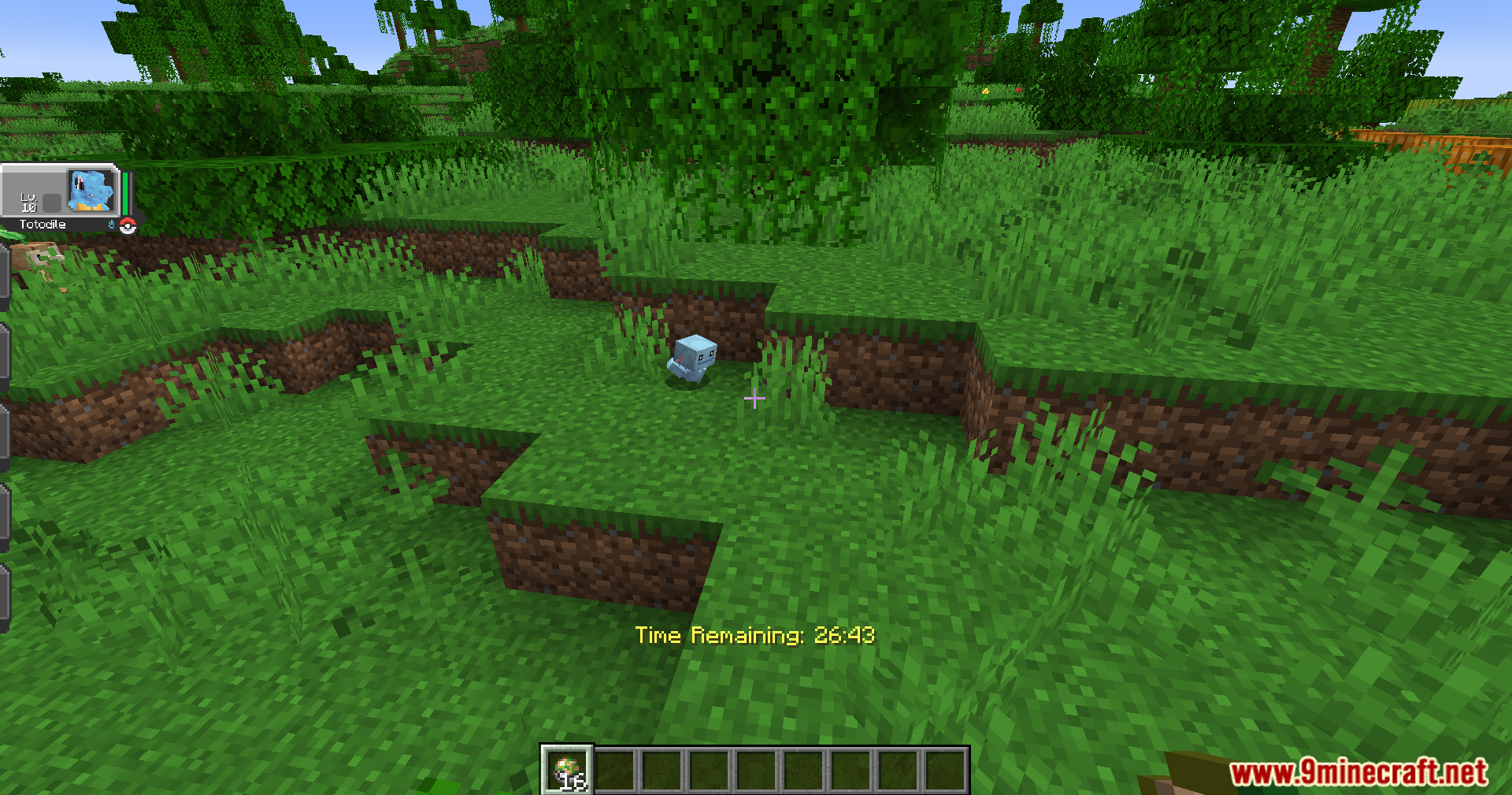 A wild Squirtle spotted in the grassy terrain