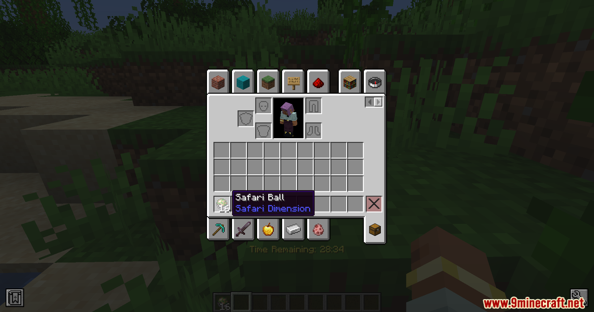 Player holding a Safari Ball in their inventory