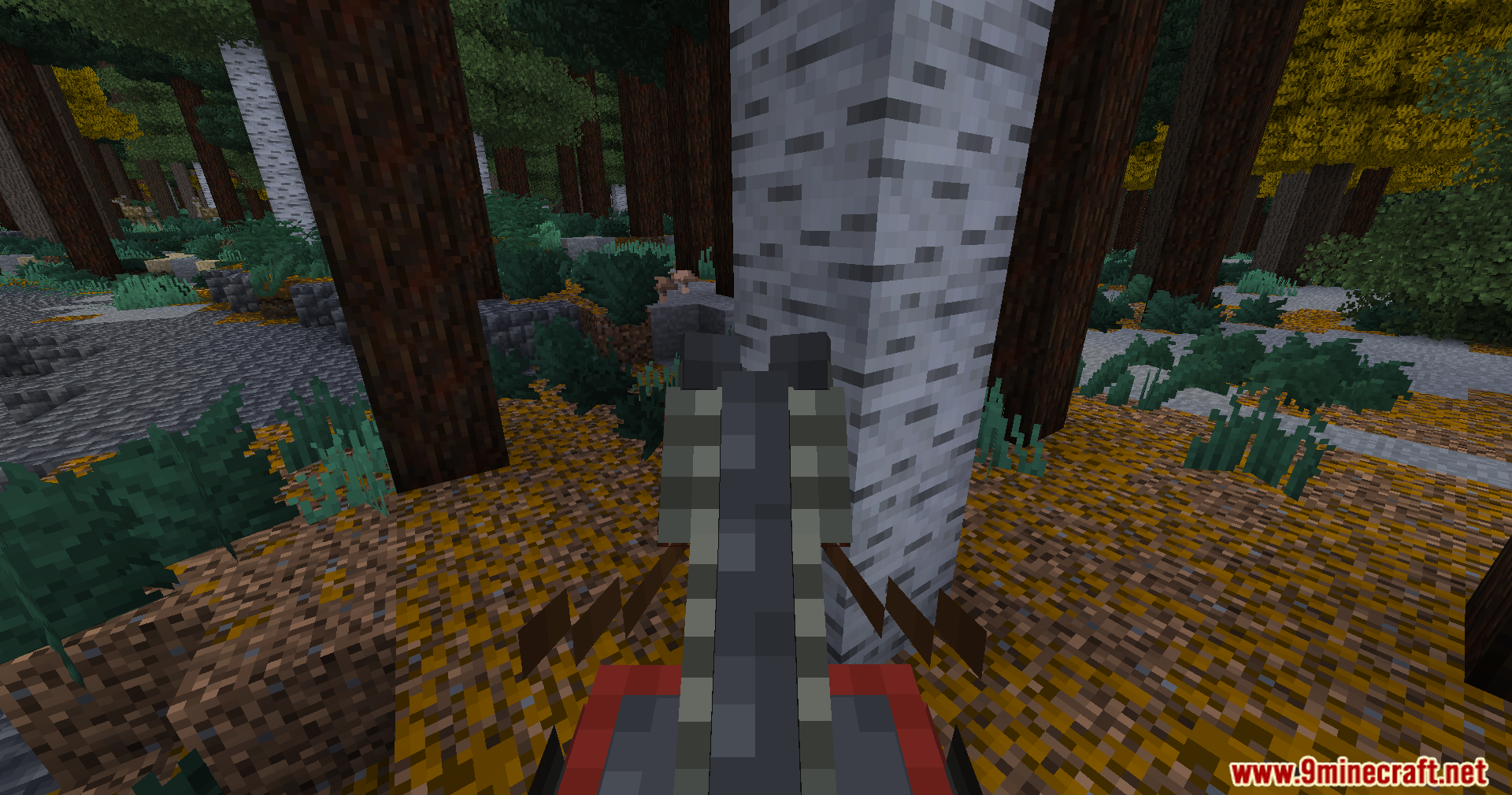 Sengoku Jidai Mod Screenshot 9 First person view of riding a horse through a colorful autumn forest