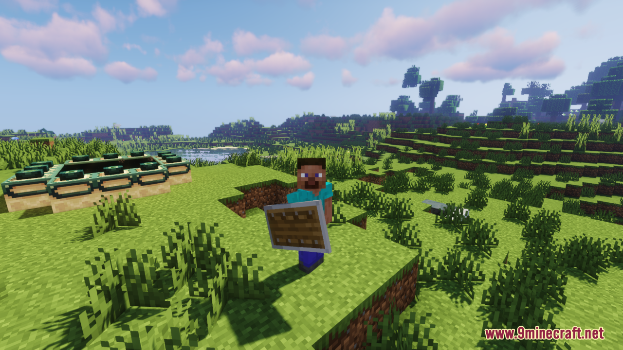 Player character holding a shield lowered to their side for a better view