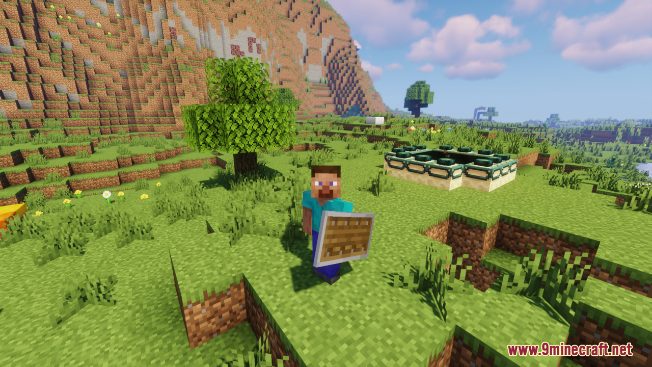 Third person view of a player holding a lowered shield in a field