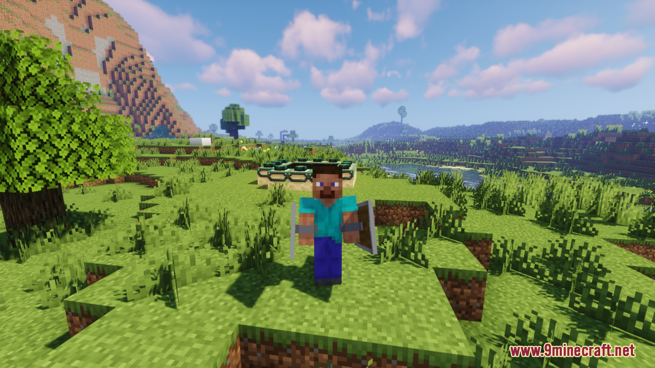 Player holding shields in both hands in third person view