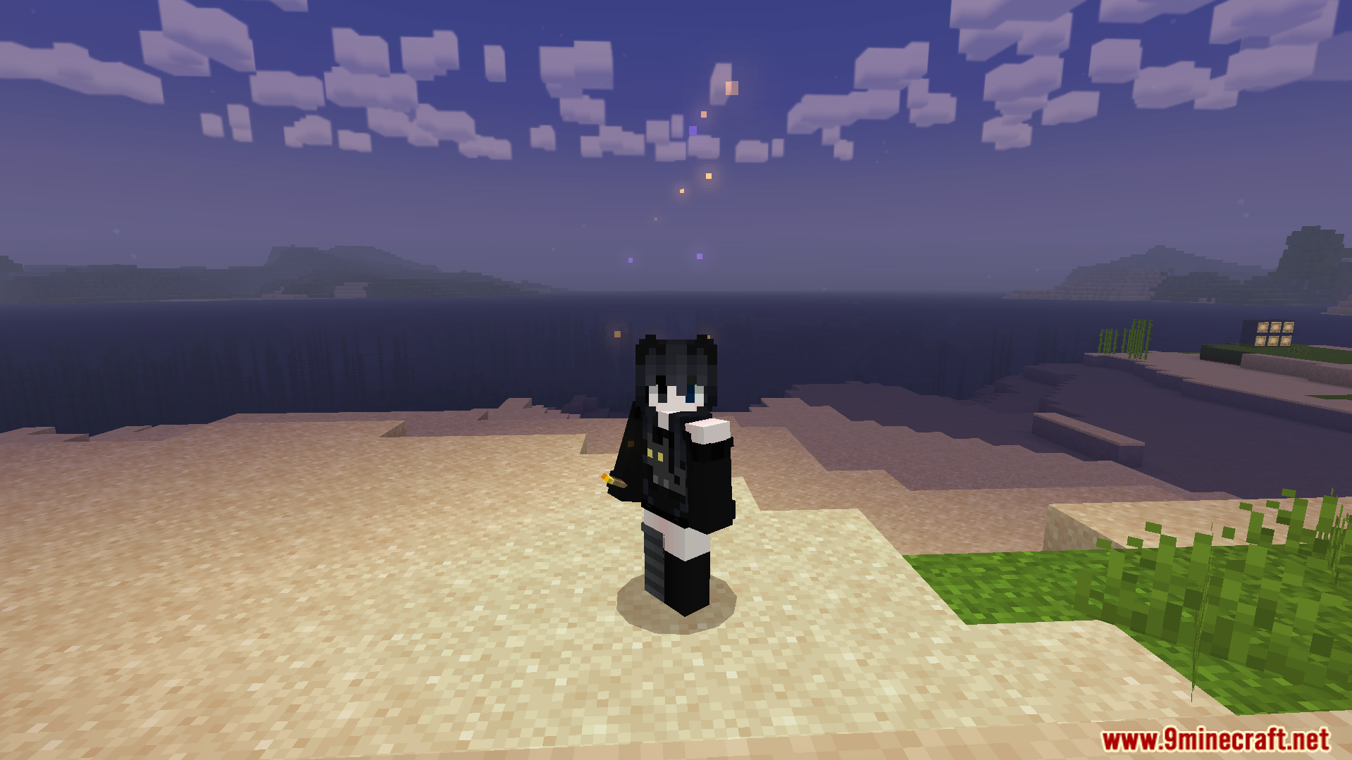 Sodvics Dynamic Light Offhand Torch Addon Screenshot 1 Player standing on a beach at night holding a torch in their offhand