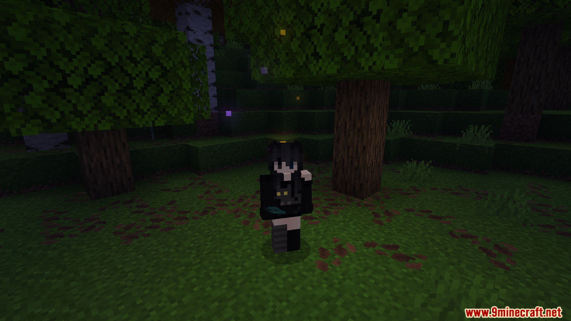 Sodvics Dynamic Light Offhand Torch Addon Screenshot 6 Player character standing in a dark forest holding a glowing item