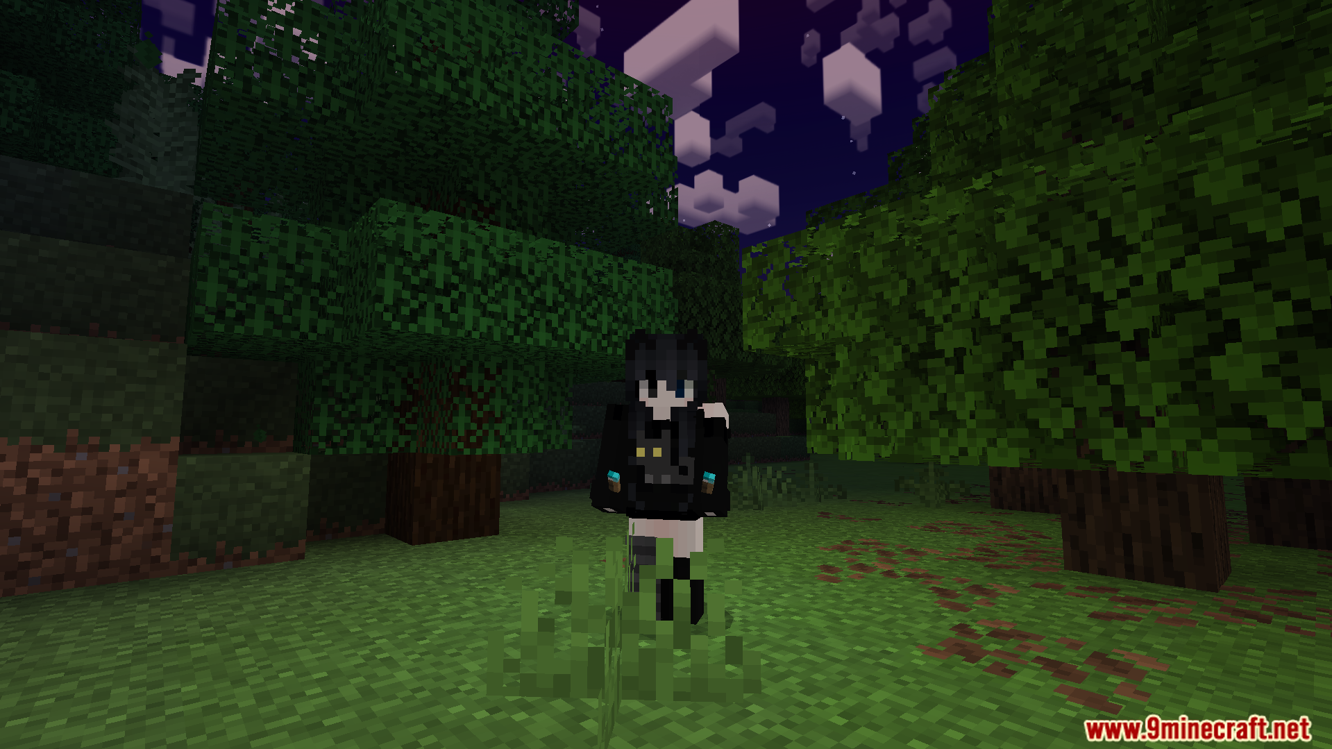 Sodvics Dynamic Light Offhand Torch Addon Screenshot 8 Player standing in the dark forest without holding a light source