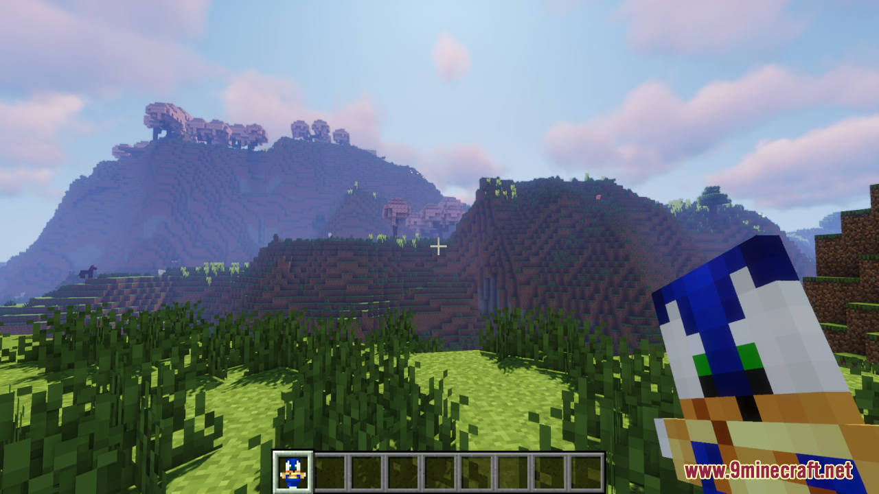 Player holding a custom Sonic totem in a grassy mountain landscape