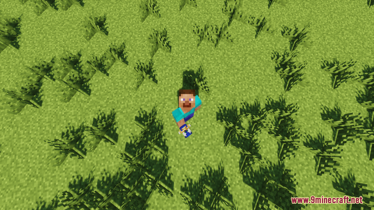 Player character standing on grass holding a single Sonic totem item